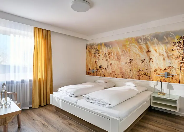 Ξενοδοχείο Mayer